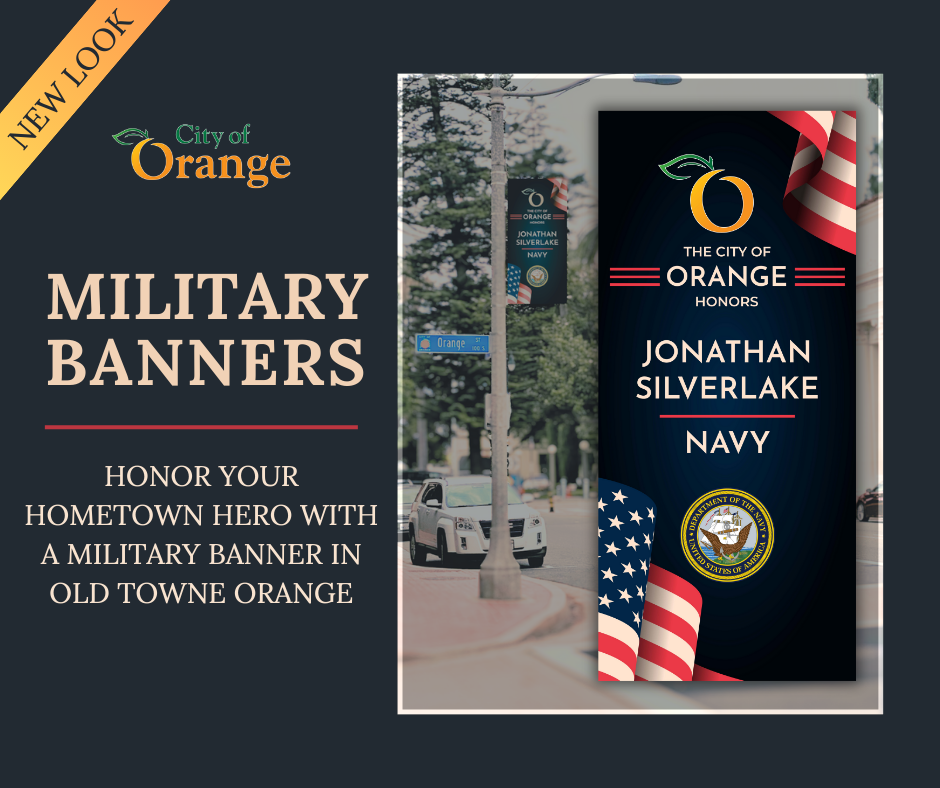 Military Banner Flyer